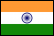 in flag icon